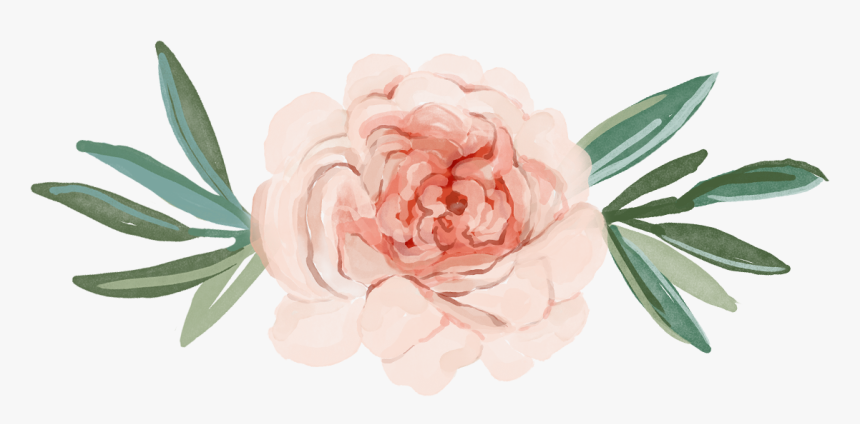 Clip Art Chrysanthemum Watercolor - Chrysanthemum Watercolour, HD Png Download