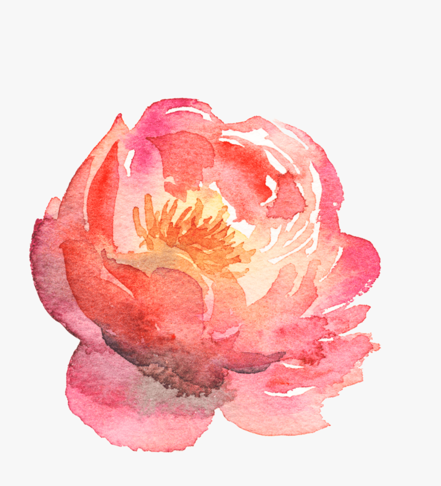 Chinese Peony, HD Png Download