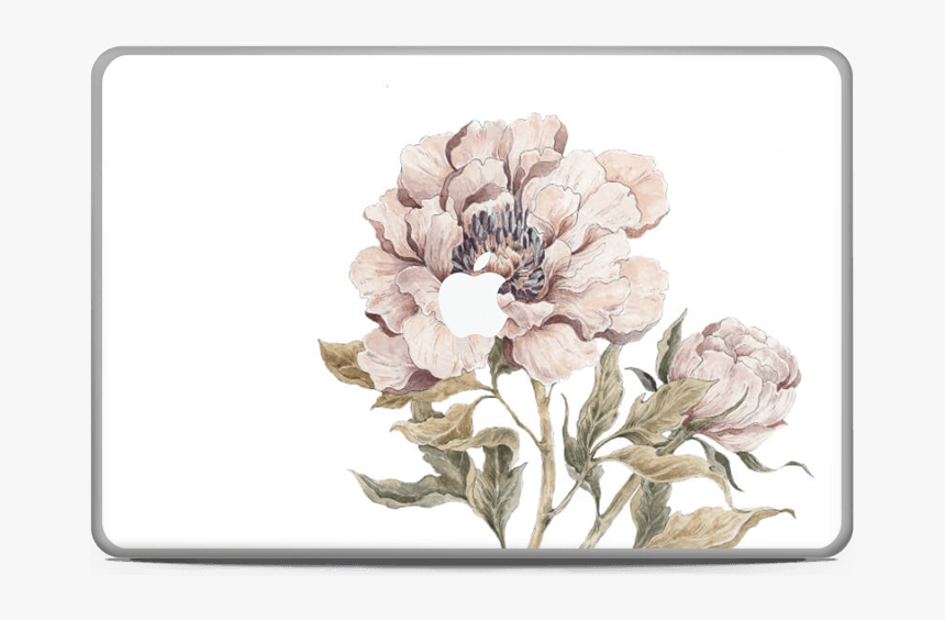 Peony Light Pink Skin Macbook Pro 17” - Common Peony, HD Png Download