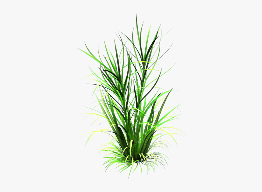 Sea Grass Clipart Grass Patch - Grass Leaf Transparent Background, HD Png Download