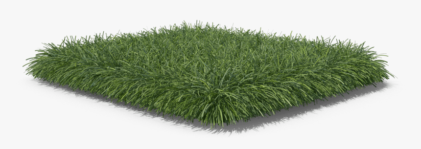 Lawn, HD Png Download