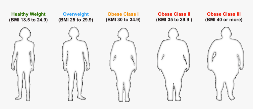 Bmi For Healthy To Obese Individuals - Body Mass Index, HD Png Download