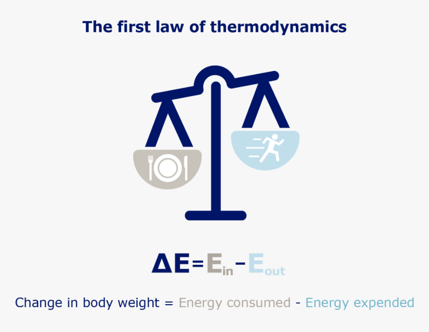 Obesity Thermodynamics - Graphic Design, HD Png Download