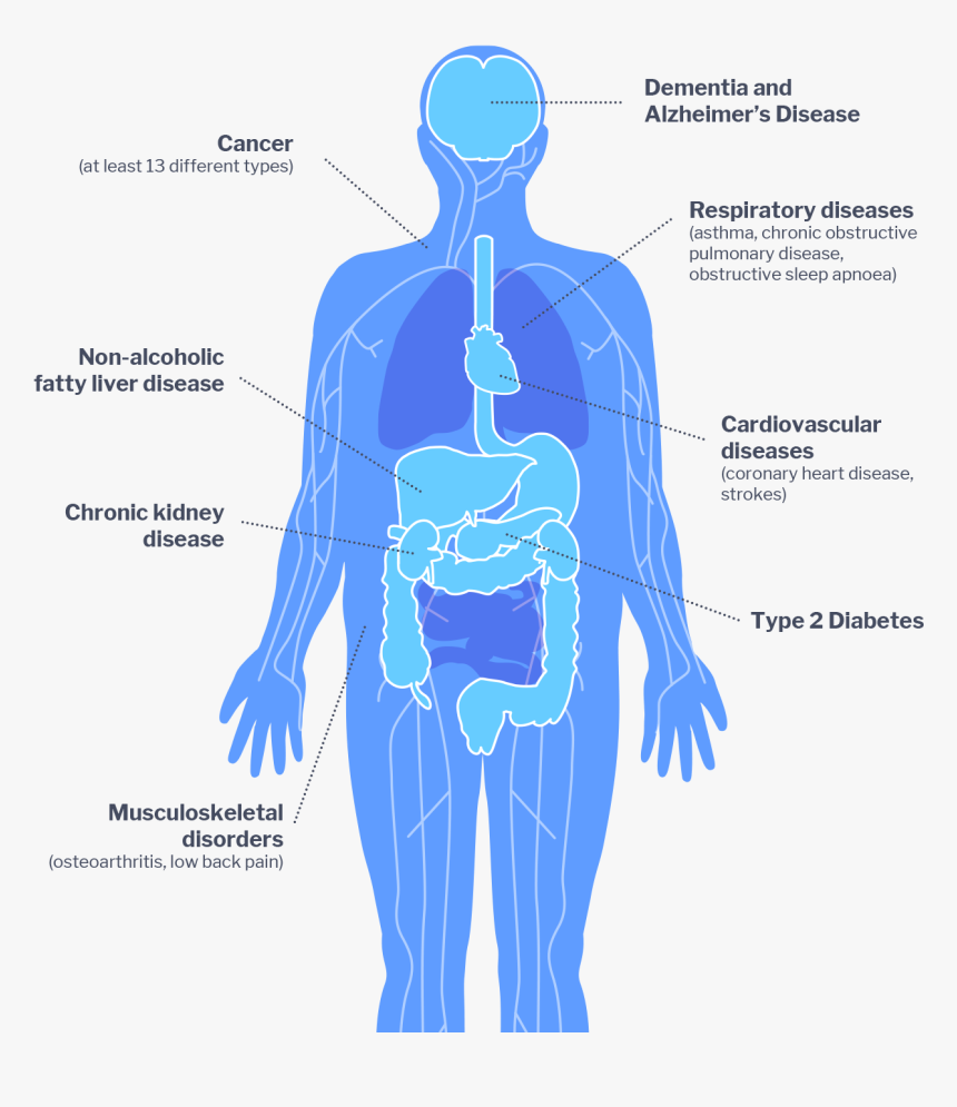 Impacts Of Diabetes On Health, HD Png Download
