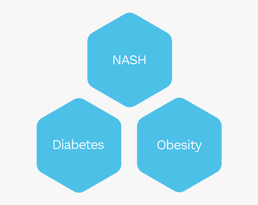 Nash Diabetes, HD Png Download