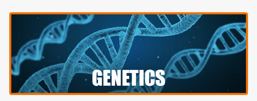 Dna For De Extinction, HD Png Download