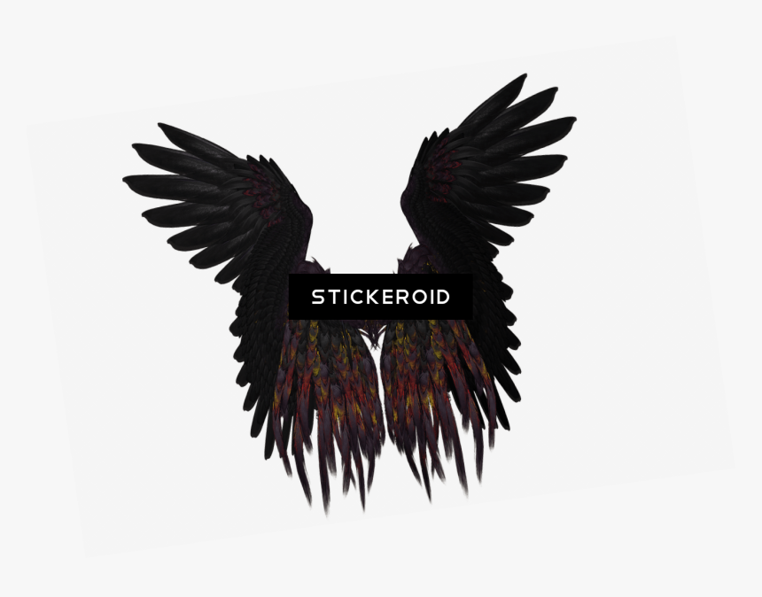 Short Black And Purple Wings - Black Angel Wings Png, Transparent Png