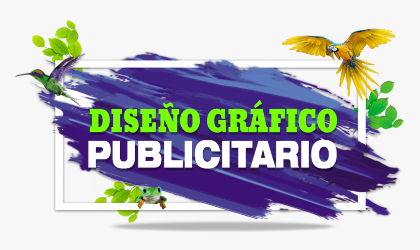 Graphic Design, HD Png Download