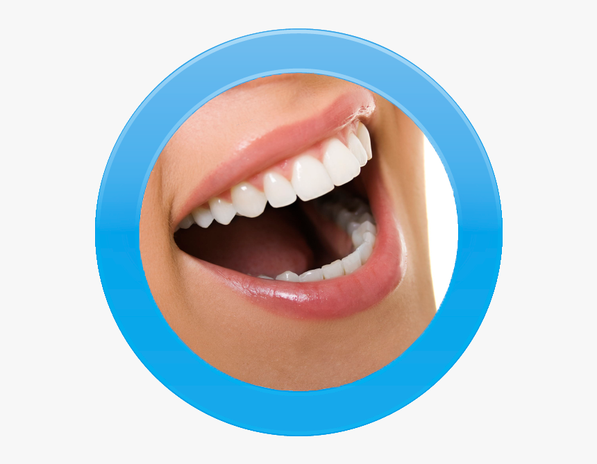 Iphone Side - Dentistry, HD Png Download