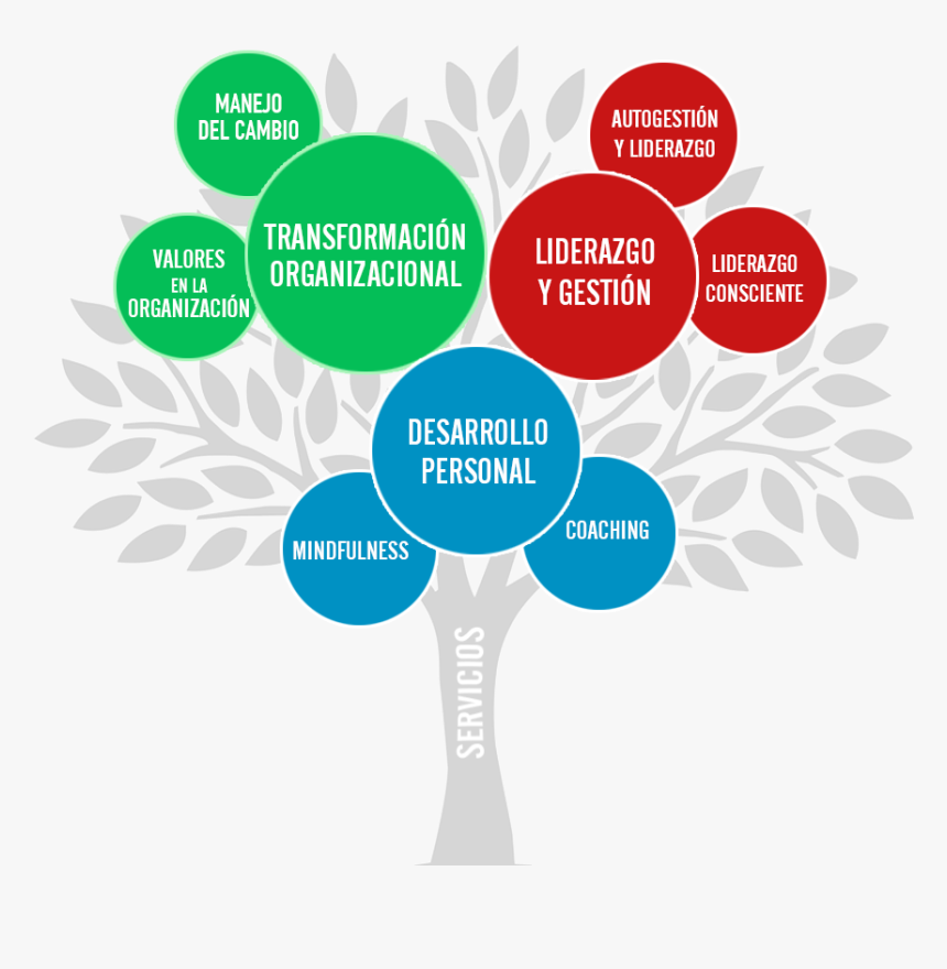 Silvio Raij Árbol De Servicios - Arbol De Valores Png, Transparent Png