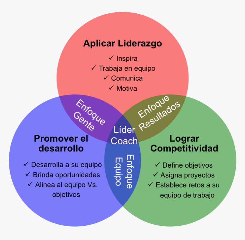 Desarrollo De Competencias De Liderazgo, HD Png Download