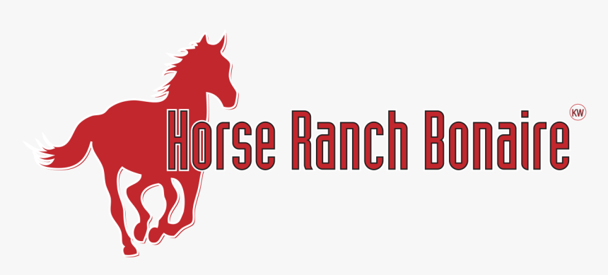 Horse Ranch Bonaire, HD Png Download
