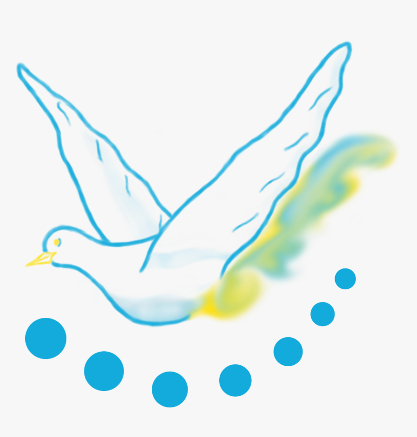 Seabird, HD Png Download