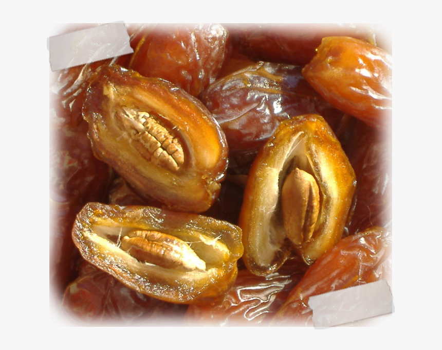 Dates Fruit Seed, HD Png Download