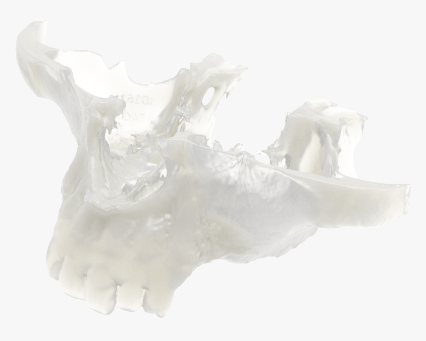 Still Life Photography, HD Png Download