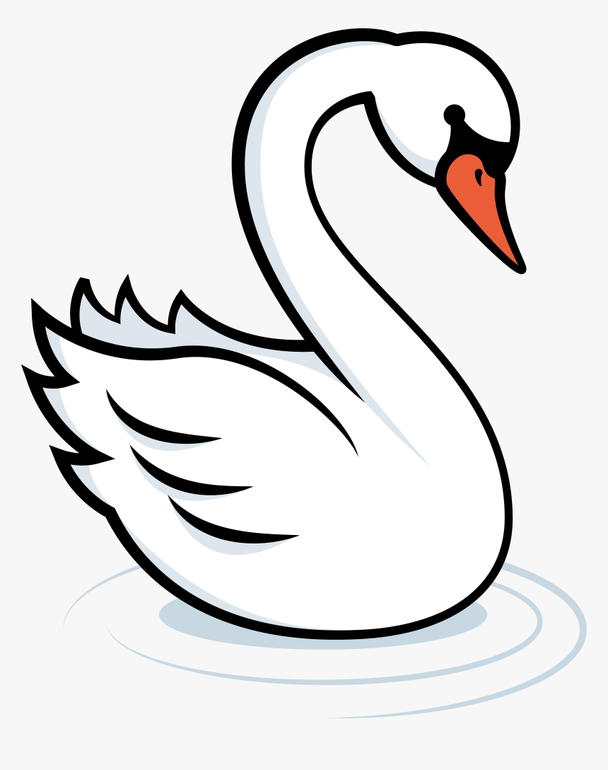 Duck, HD Png Download