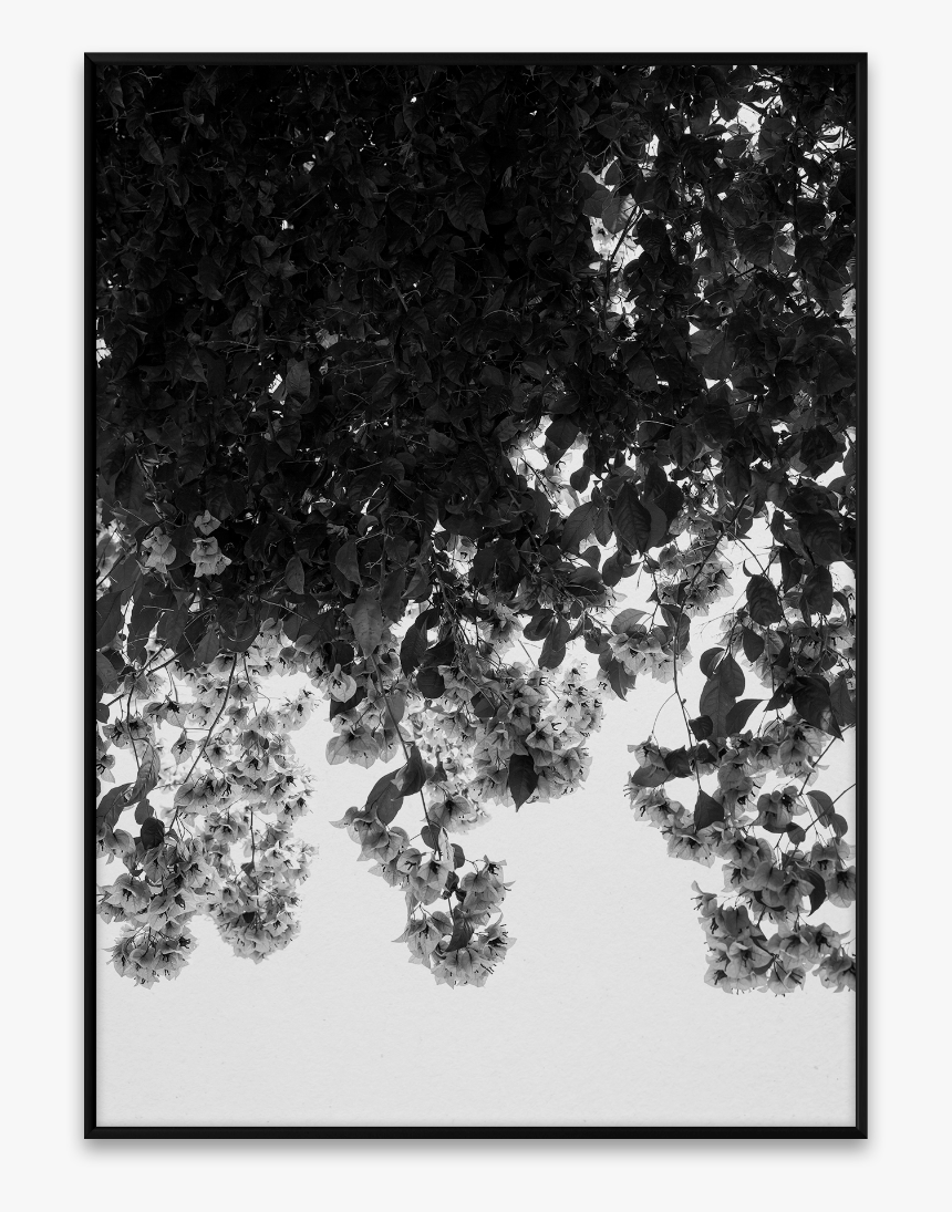 Flowers Norm Architect Paper Collective, HD Png Download