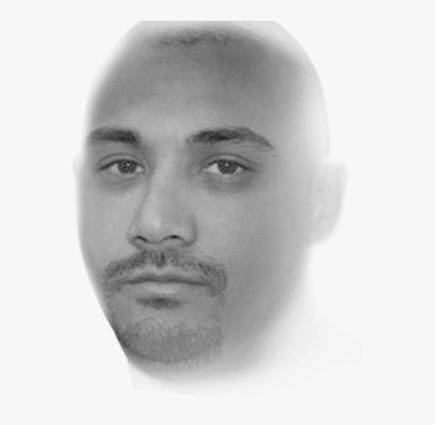 Human, HD Png Download