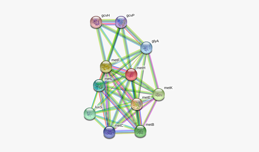 Meth Protein - Circle, HD Png Download