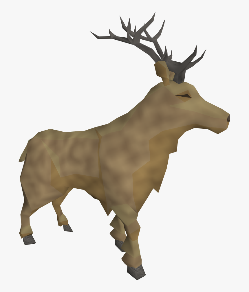 Elk, HD Png Download