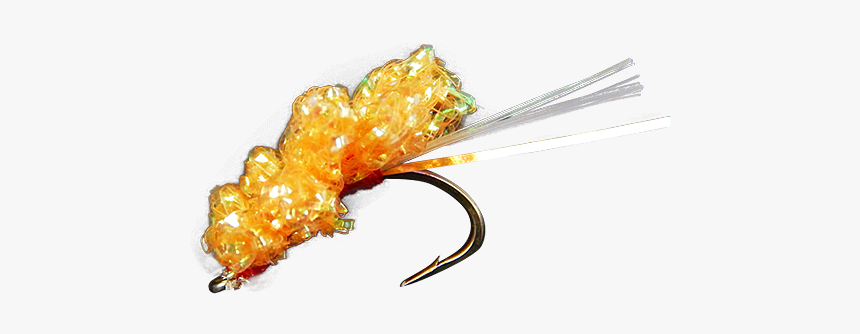 Seafood, HD Png Download