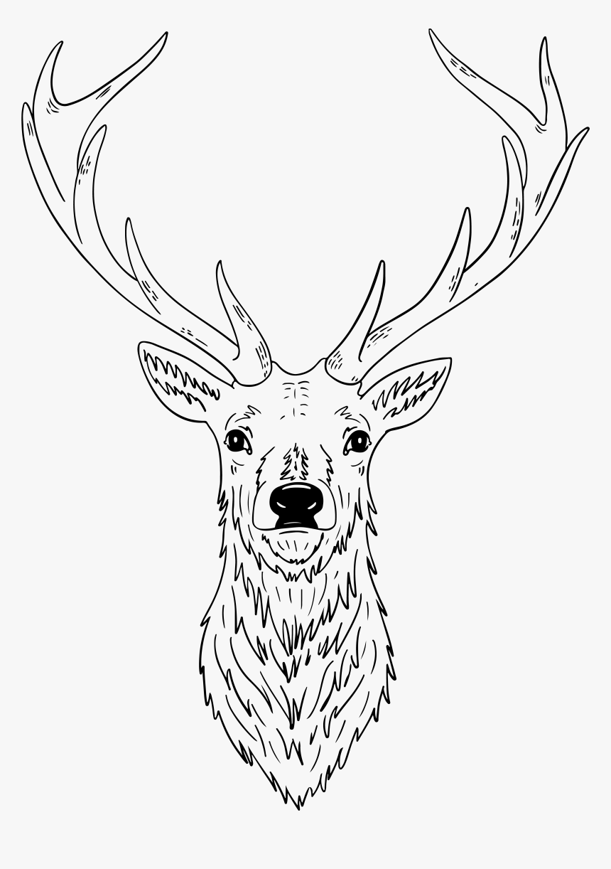 Sketch, HD Png Download