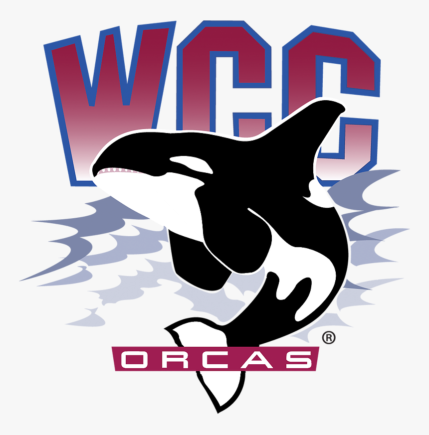 Whatcom Orcas, HD Png Download