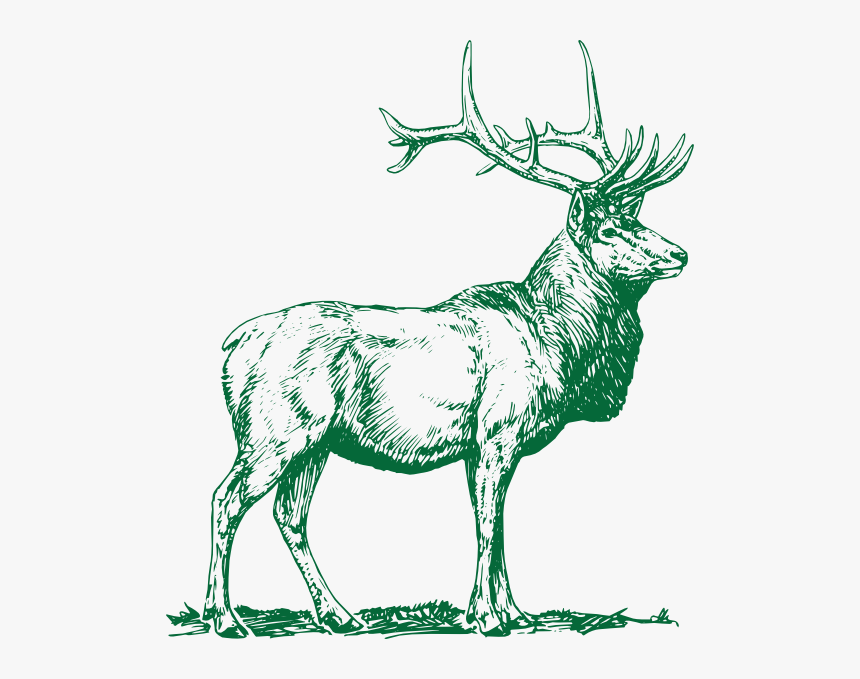 Elk Clip Art, HD Png Download