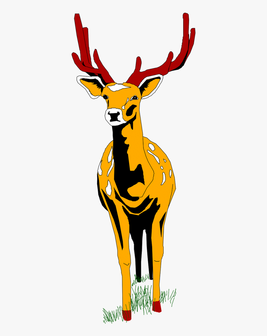 Stag Vector Wildlife - Deer Front View Cartoon, HD Png Download