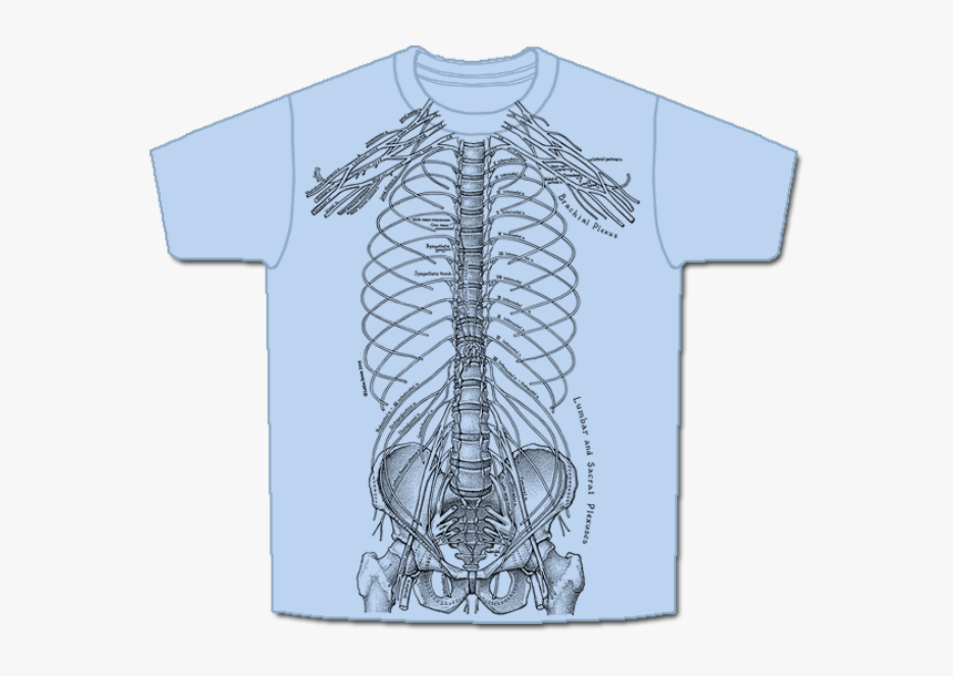 Nerves-short, HD Png Download
