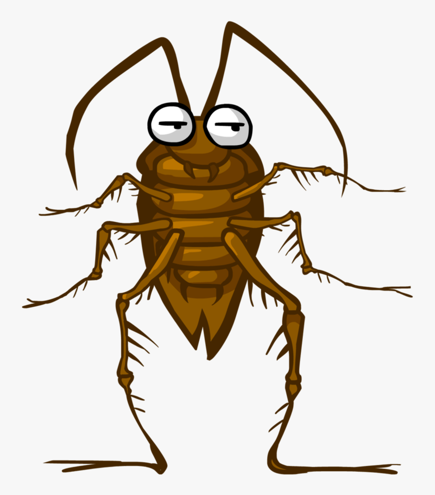 Cockroach Clipart Png, Transparent Png