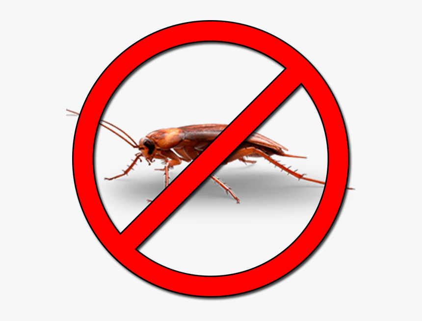 Road No Entry Signs, HD Png Download