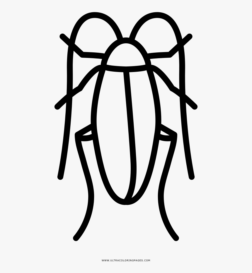 Cucaracha Página Para Colorear - Cucaracha Para Dibujar Facil, HD Png Download