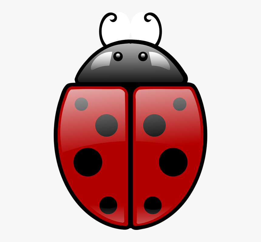 Imagen En Rojo Y Negro, HD Png Download
