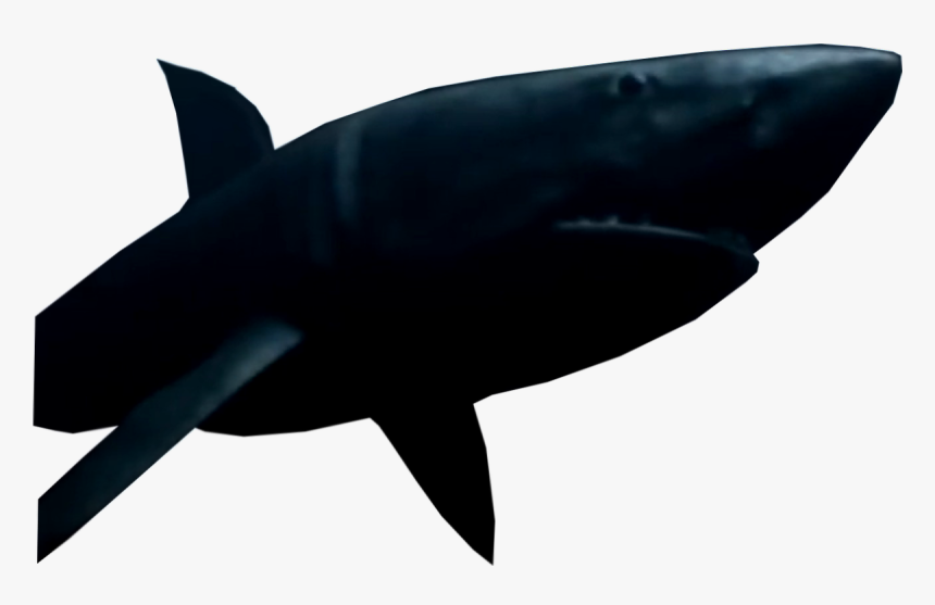 Shark, HD Png Download
