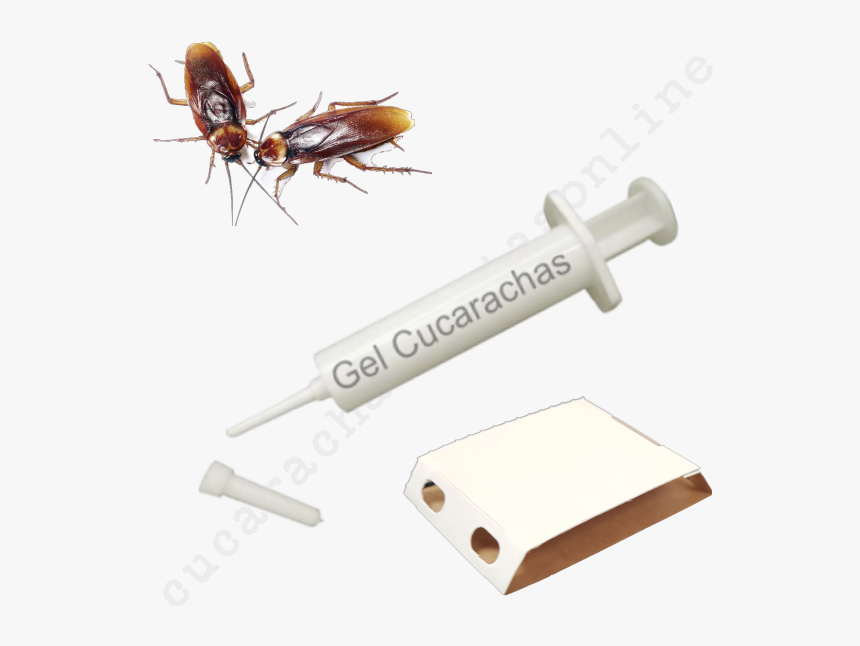 Papa Roach Last Resort Joke, HD Png Download