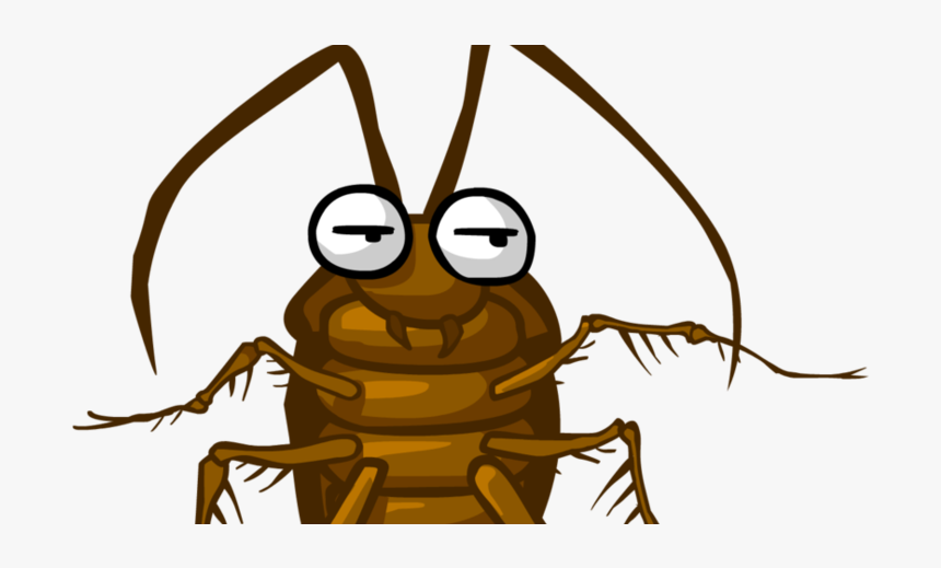 Cucaracha Dibujo, HD Png Download