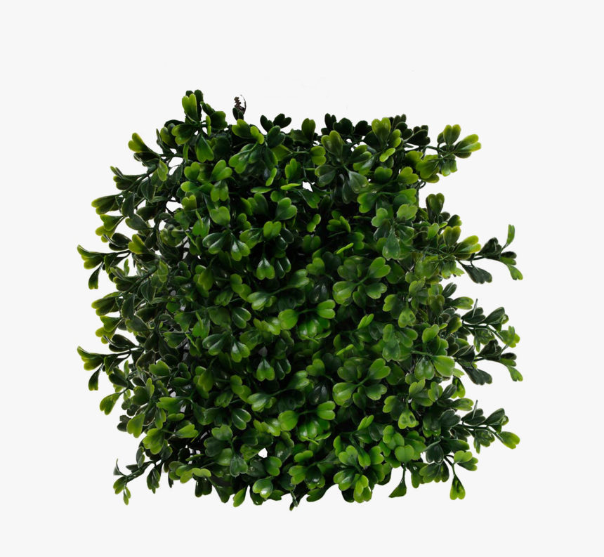 Bush Png Transparent - Bush Top View Png, Png Download