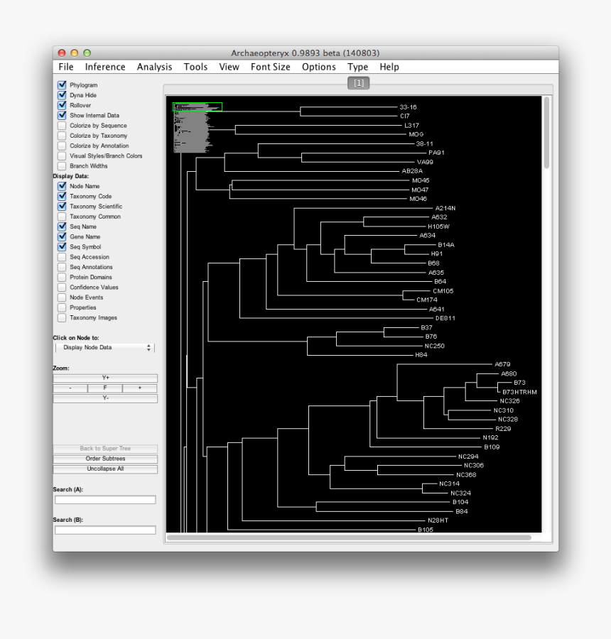 Tree, HD Png Download