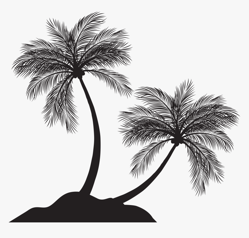 Palm Trees Silhouette Png, Transparent Png
