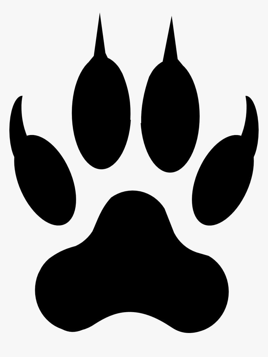 Cougar Clipart Claw - Cat Paw Clipart, HD Png Download