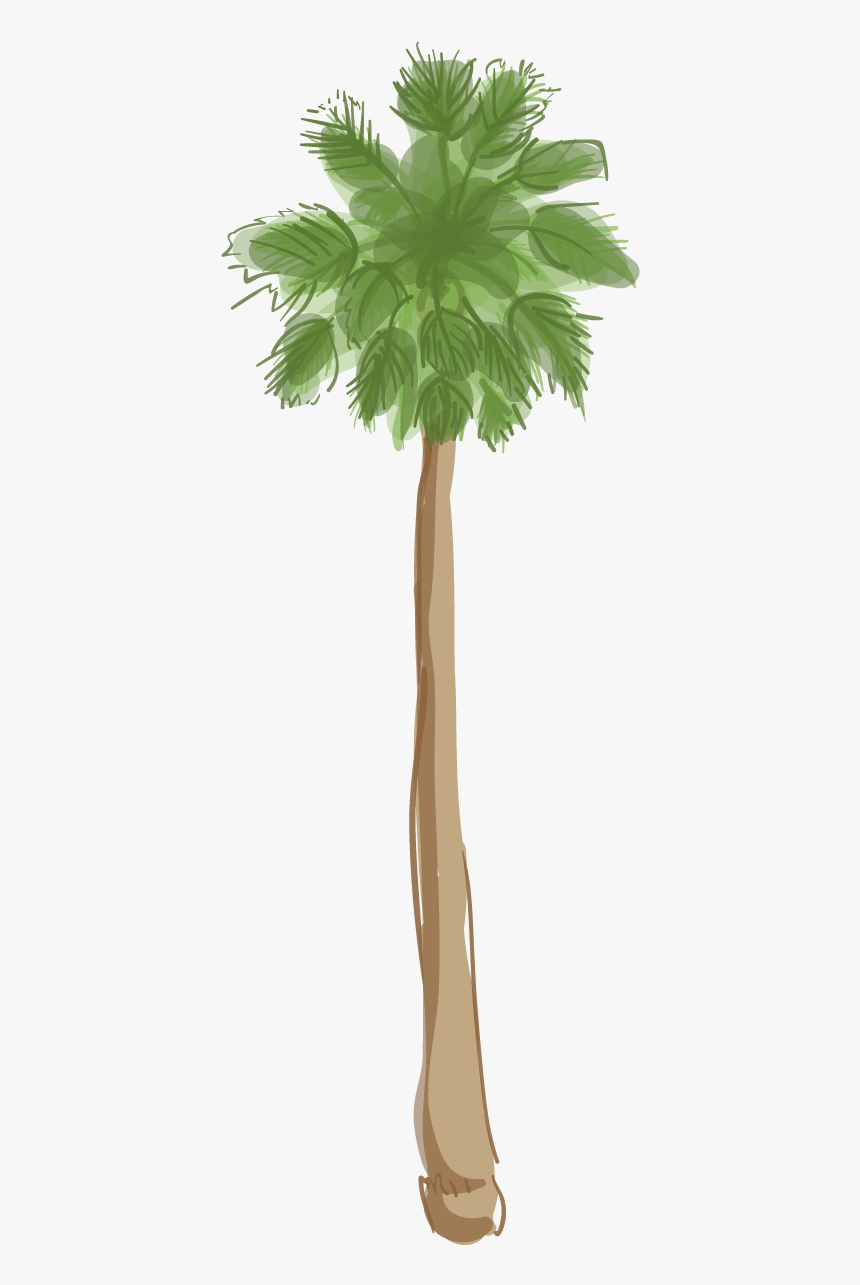 California Palm Trees Outline, HD Png Download