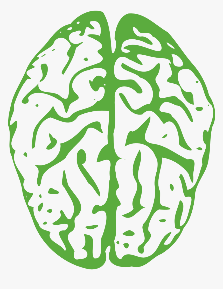 Clip Art Portable Network Graphics Transparency Brain - Transparent Background Brain Clipart, HD Png Download