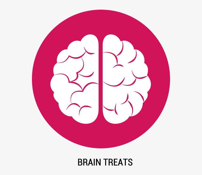 Canal 5 - Circle, HD Png Download