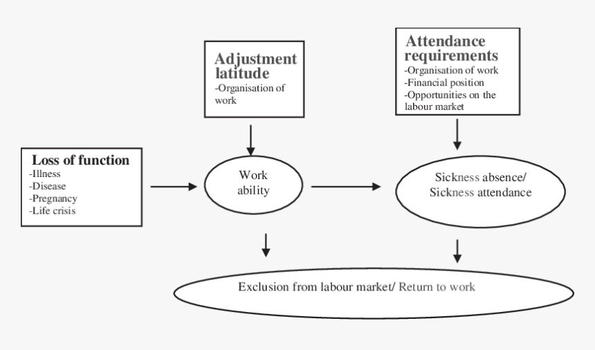 The Model Of Illness Flexibility - Cartoon, HD Png Download