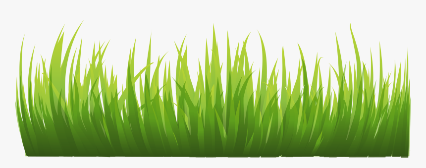 Grass Png Image, Green Grass Png Picture - Grass Png Background, Transparent Png