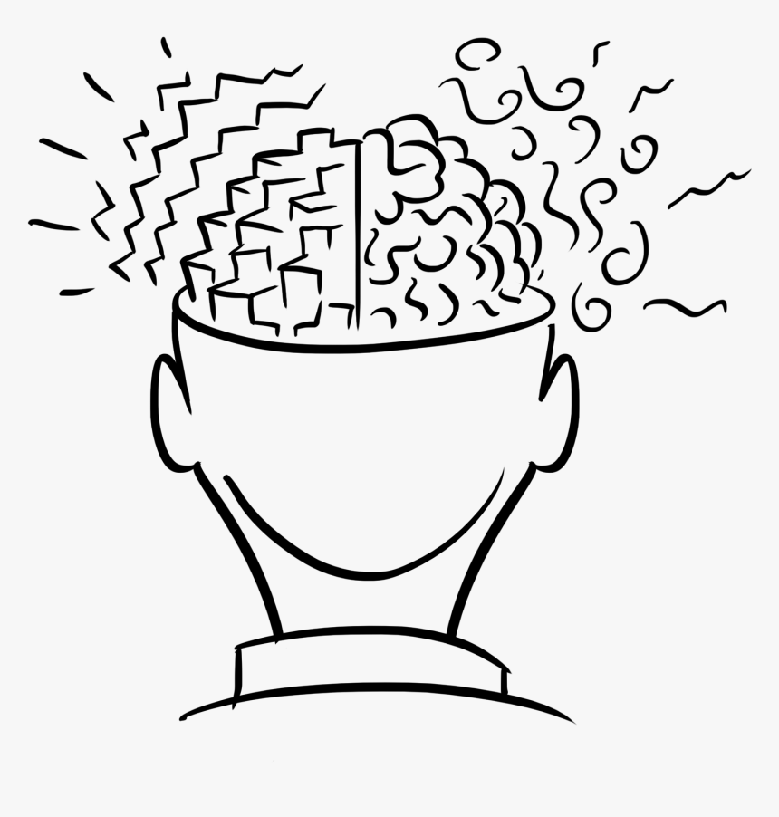 Brain Drawing, HD Png Download