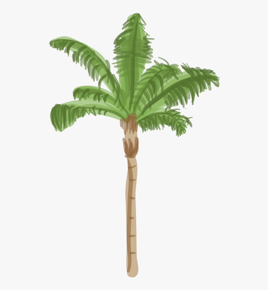 Queen Palm Tree Drawing, HD Png Download
