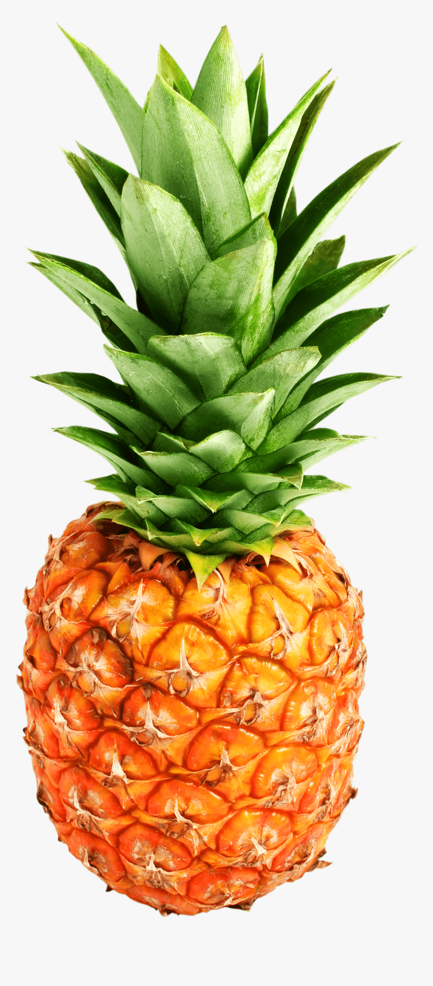 Pineapple Png Transparent Photo - Pineapple Png, Png Download