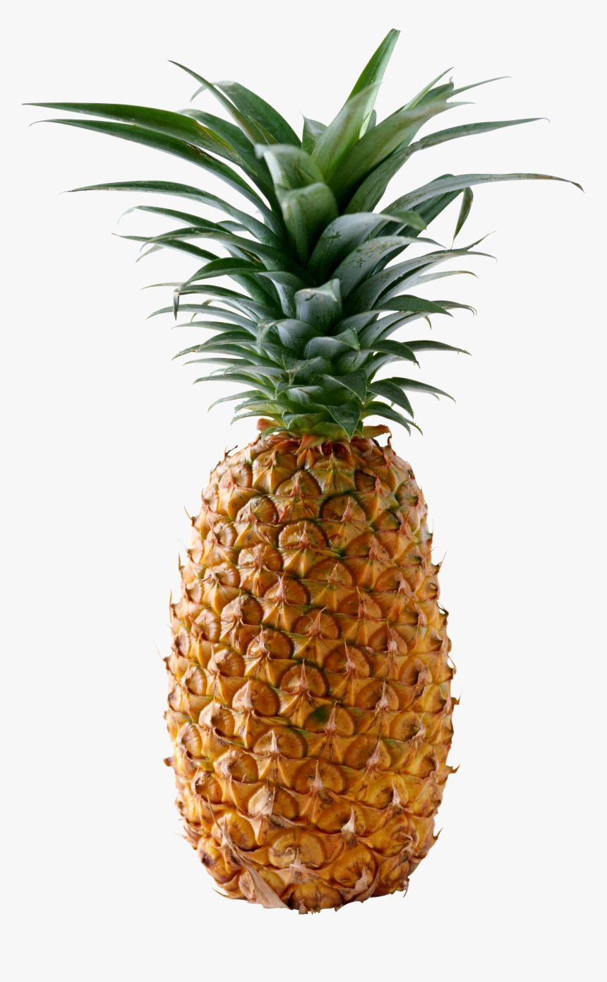 Pineapple Png Image Free Download Ananas Png Transparent Png Transparent Png Image Pngitem Pineapple Png Image Free Download Ananas Png Transparent Png Transparent Png Image Pngitem